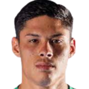 门多萨体操击剑